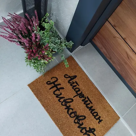 Apartmani Zivkovic Veliko Gradiste Exterior photo