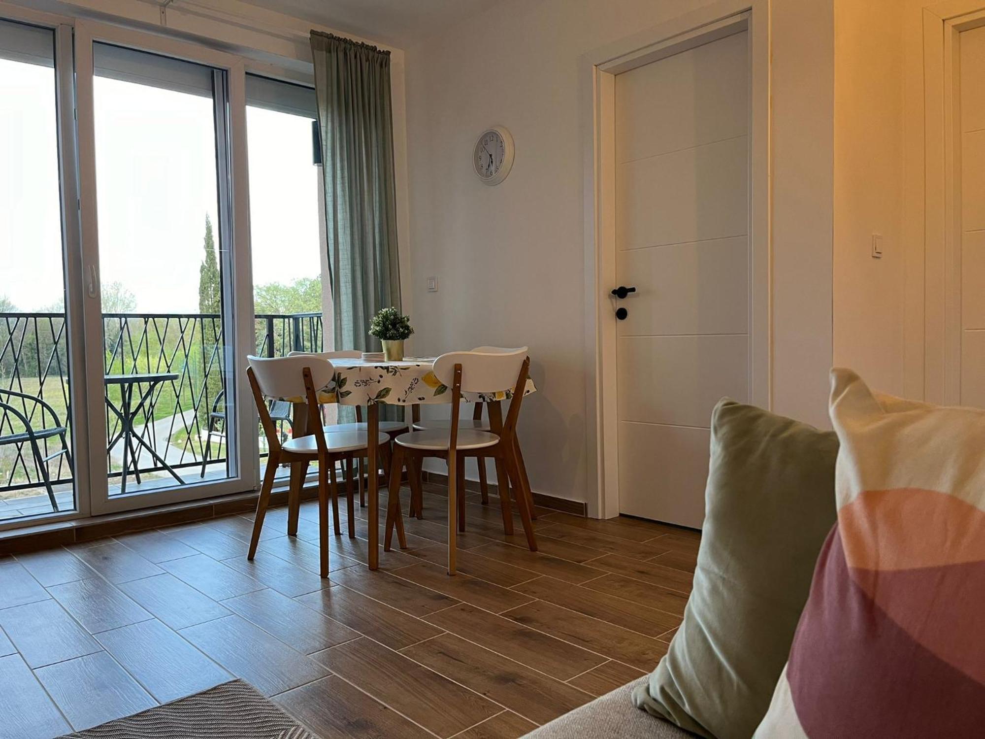 Apartment Zivkovic Veliko Gradiste