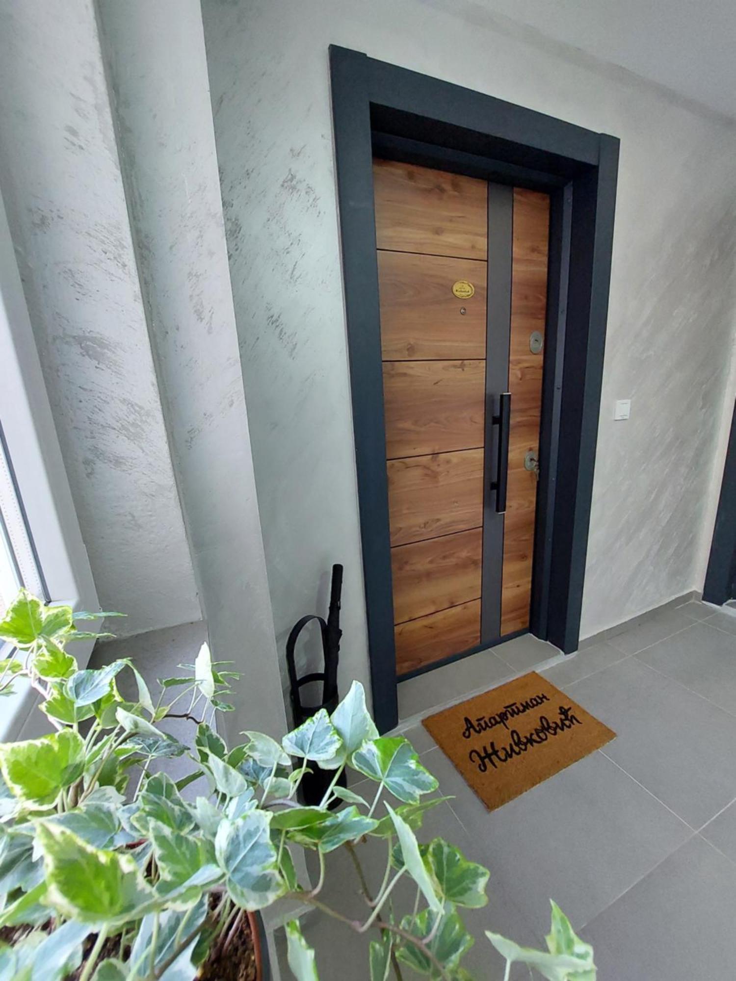 Apartment Zivkovic Veliko Gradiste