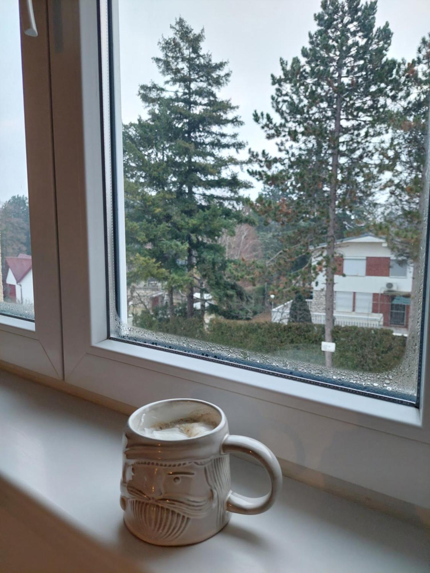 Zivkovic Apartment *