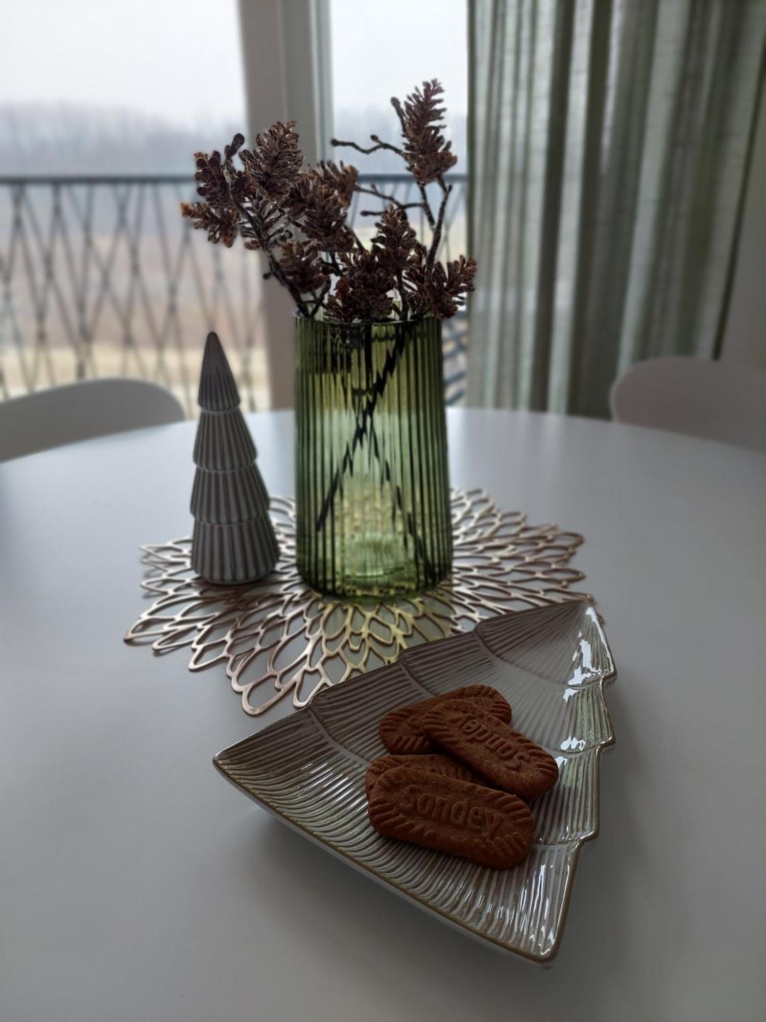 Apartment Zivkovic Veliko Gradiste